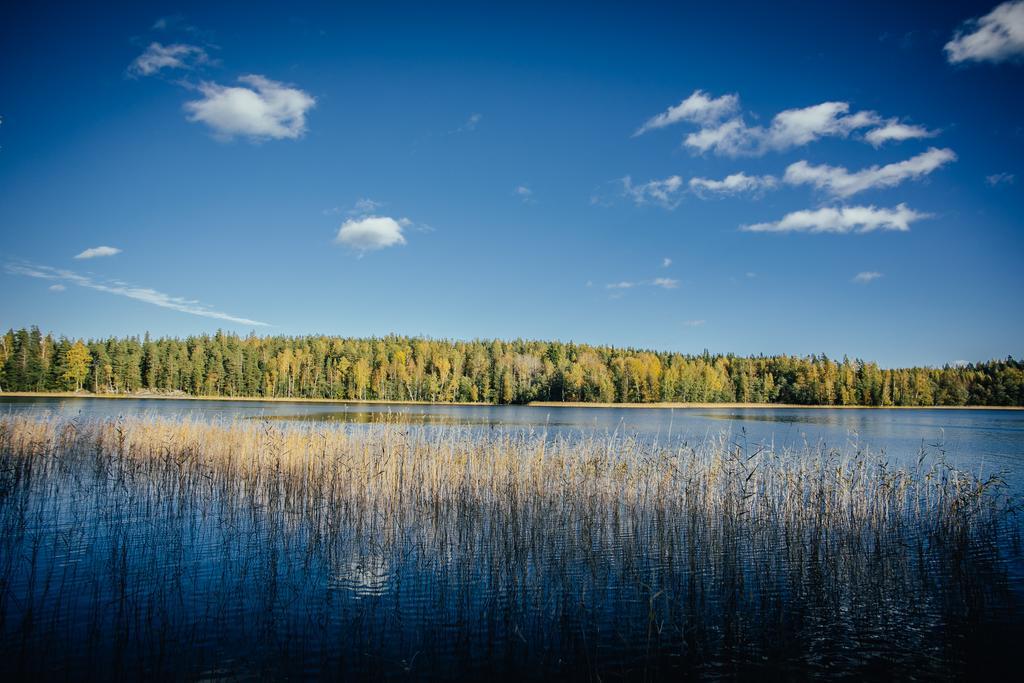 Sleepwell Villa Hartola By The Lake Kirkkola Εξωτερικό φωτογραφία